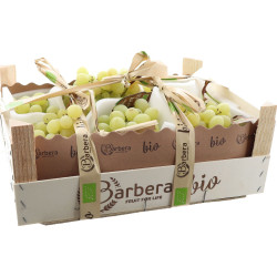 BIO RAISIN BLANC SEEDLESS ARRA BARBERA 5KG